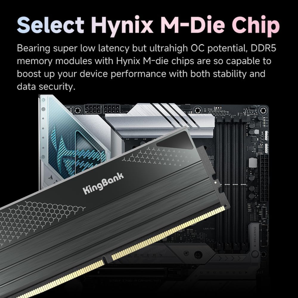 KingBank DDR5 KFXB Memory 48GB - огляд і ціна Ddr5 64Gb